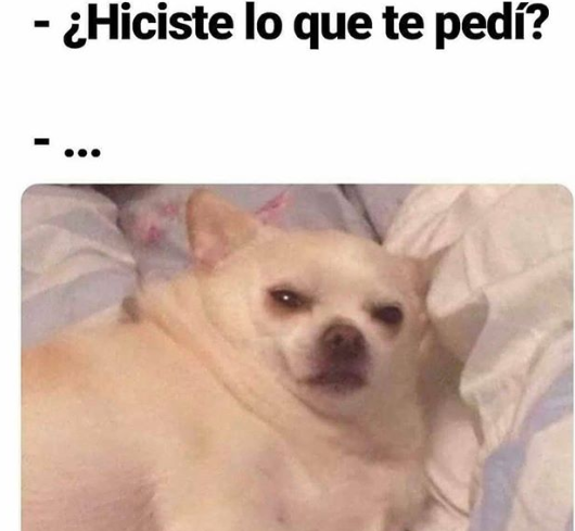 Qué cosa?