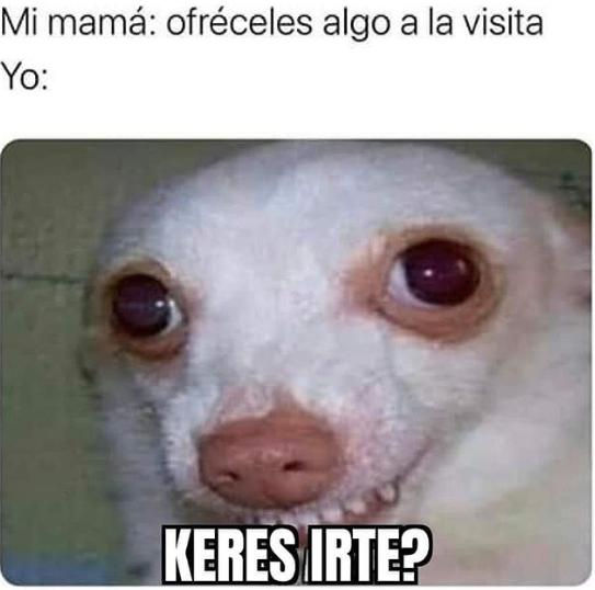 Gracias por la visita, no vuelvas nunca